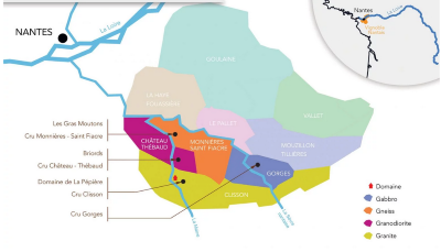 2023 Pépière "Briords," the Superb 2019s and More Muscadet!