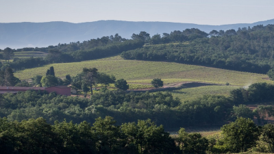 Rosés of Spring: New Arrivals and Close-Outs at Pre-Tariff Prices!