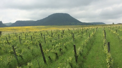 New Arrivals from the Jura!