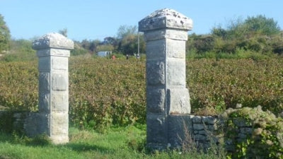 Best Value Burgundies - On Sale 20% Off!