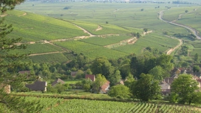 The Beautiful Burgundies of Domaine Rapet, Père et Fils!