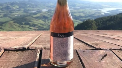 Stein Rose is Back!