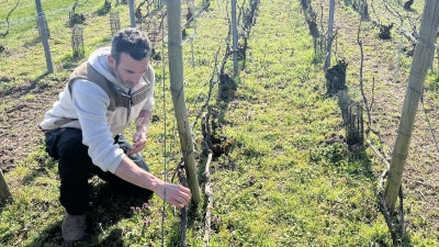 Returning Favorites from Champagne: Suenen, Benoit Dehu, Agrapart, Lassaigne, and Pouillon