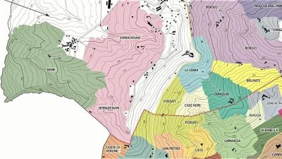 Trediberri, Giulia Negri, and other Piedmont favorites!