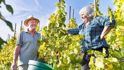 Turkey Day Riesling!