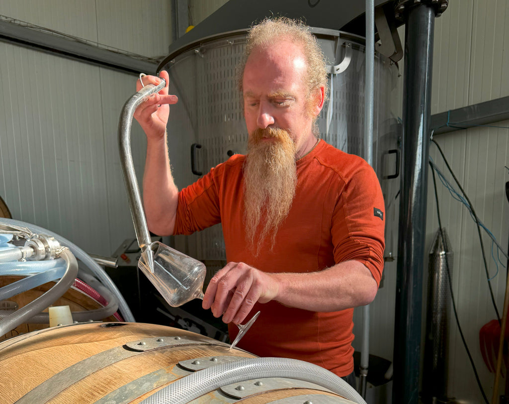 Spätburgunder Arrivals from Mosel, Baden, and Rheinhessen!