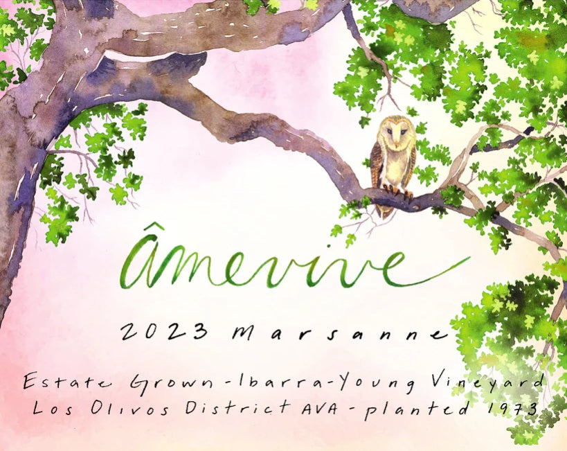 Amevive 2023 Marsanne Ibarra-Young Vineyard