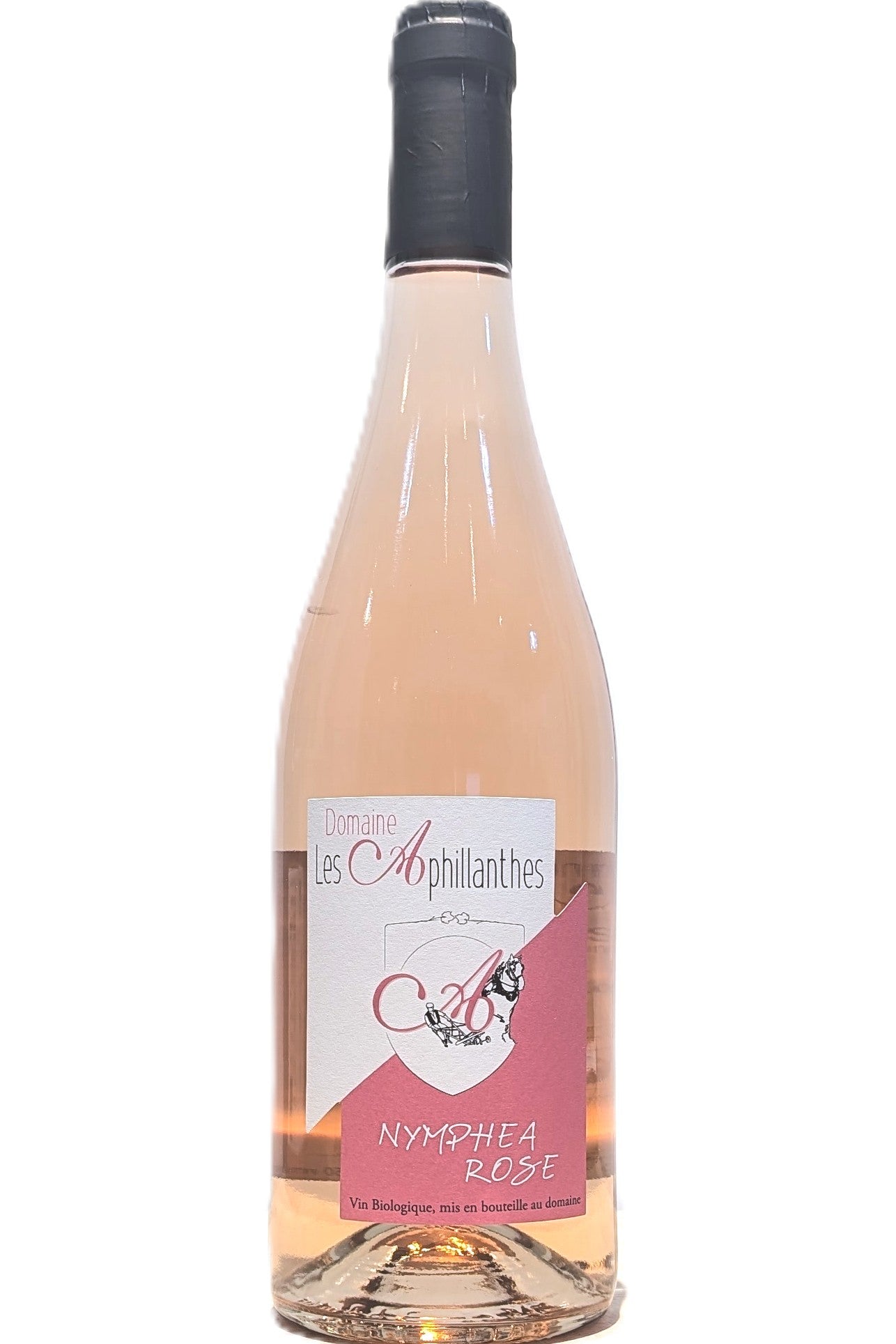 Aphillanthes 2024 Nymphea Rose