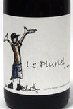 Clos Des Boutes 2022 Costieres de Nimes Le Pluriel