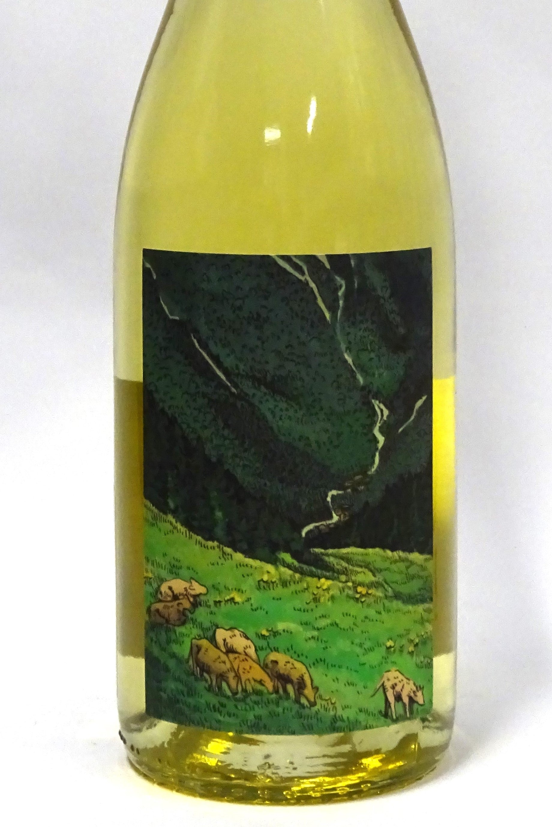 Kelley Fox 2023 Willamette Valley Gruner Veltliner