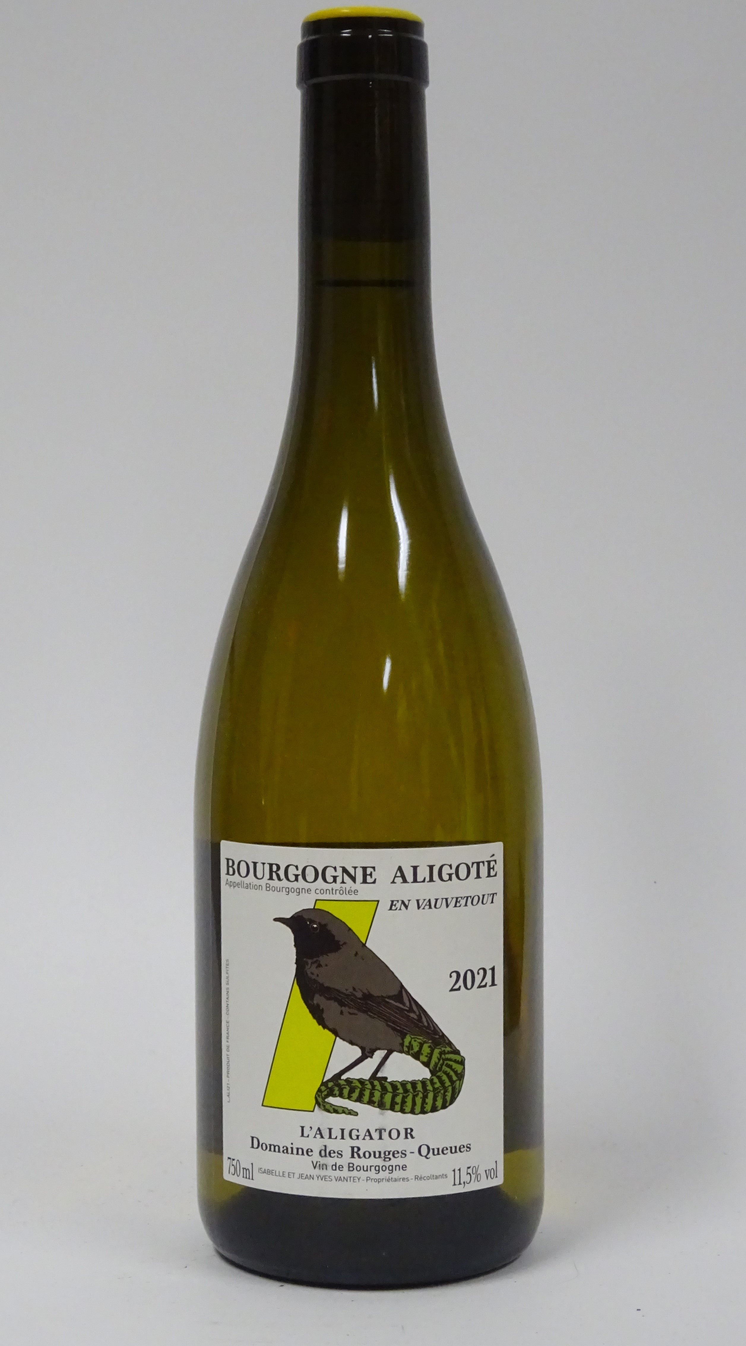 Rouges-Queues 2021 L'Aligator