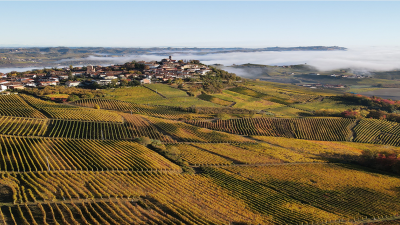 The Beautiful 2020 Barolos of Fratelli Alessandria in Verduno!