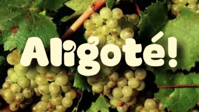 Aligoté!