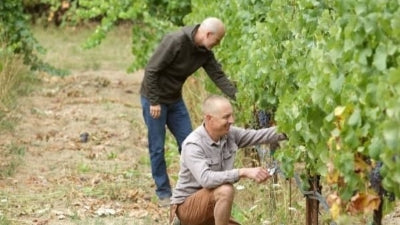 The Return of Arnot-Roberts Rosé, Trousseau and More!