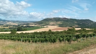 New Arrivals and Returning Favorites from France - Late June edition