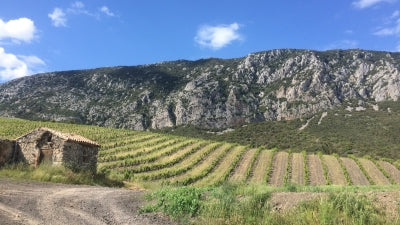 Roussillon Doubleheader: Domaine Laguerre and La Petite Baigneuse!