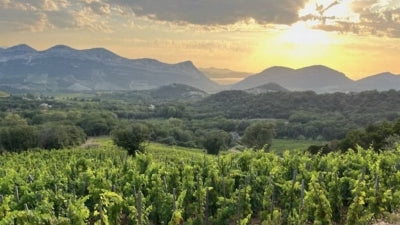 New from Corsica: Introducing Clos U Suale!