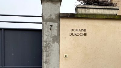 Highly Allocated Burgundy: Duroché, Colin-Morey, Bachelet, and Boisson