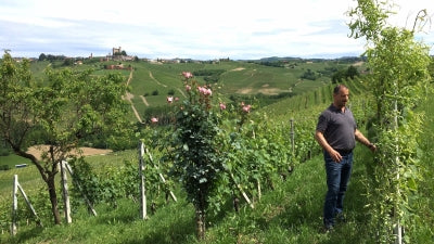 New Arrivals from Elio Sandri