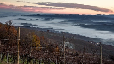 Piemonte 2021 Vintage Spotlight