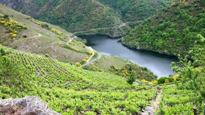 New Arrivals and Returning Favorites from Spain and Portugal