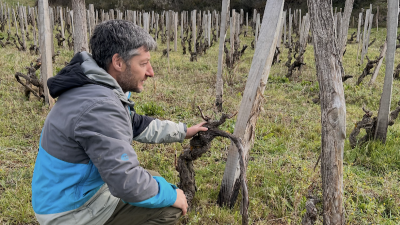 No Spain No Gain:  Cantalapiedra and Bodegas Gil Berzal