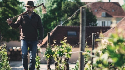 Sub $35 Burgundies: Featuring Dominique Gruhier and more!