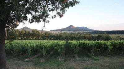 Palinkerie Picks! - Hungarian Wines from the Palinkerie Imports Portfolio