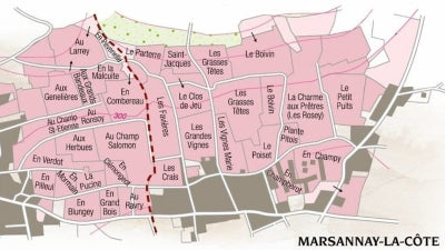 Marsannay: An Overlooked Village in the North