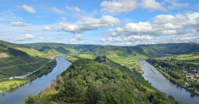 A Love Letter to 2024 German Riesling Featuring Haart, Schaefer and more!