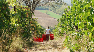 The Magic in the Colli Tortonesi