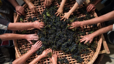 Passetoutgrain Excellence - Chevillon, d'Angerville, and Lafarge