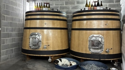 Adventures on the Portuguese Wine Trail: A Selection of Favorites from a Recent Journey