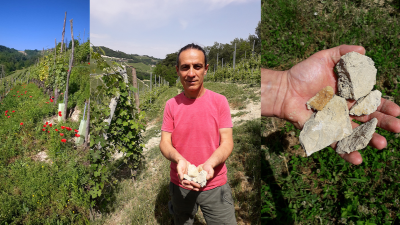 The Serenading Wines of Serralunga