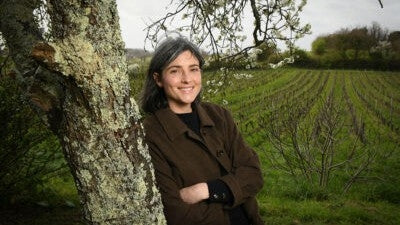 French Container New Arrivals - Featuring Peybonhomme/Grolet, Guillemot-Michel, Creve Coeur, Raphaëlle Guyot!