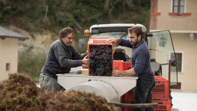 New Arrivals from Roagna!