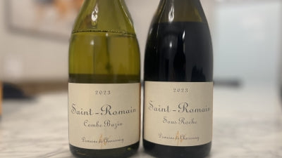 Delicious Duo of Saint-Romain From Domaine de Chassorney