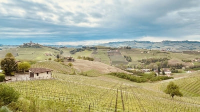 Stellar Wines from San Barnaba