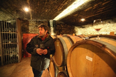 Domaine Trapet - Gevrey Past and Future