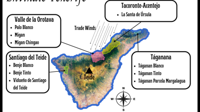 2022 Canary Island Offerings from Envinate