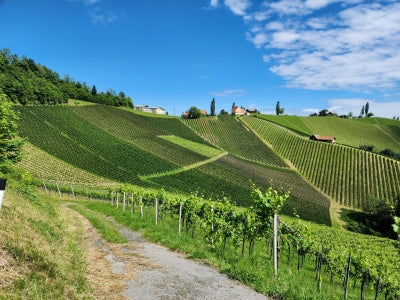 SOUTHERN STYRIAN SUNSHINE