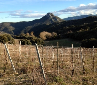 Jobard, Laguerre and Superb Summer Whites!