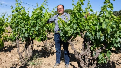 Return of the Southern Rhone: Great Wines/Great Values!