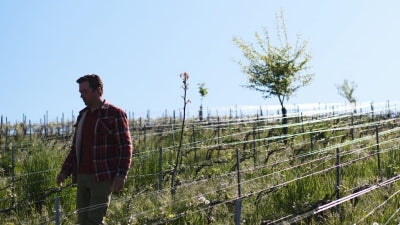 New Arrivals and Returning Favorites from Champagne!