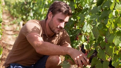 A Tale of Two Volnay Producers - Clerget & Glantenay