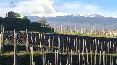 Sicilian Summer Selections from Vino di Anna, Federico Curtaz, Graci & Bonavita