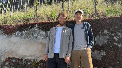 A Continuation of Greatness: Vollenweider 2024-2025 - A study of Goldgrube