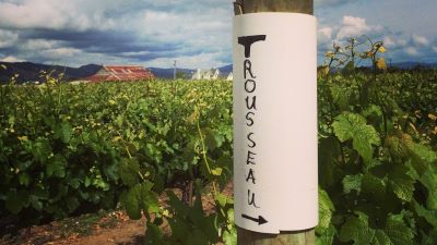 The Beautiful 2023 Trousseau (and more) from Arnot-Roberts!