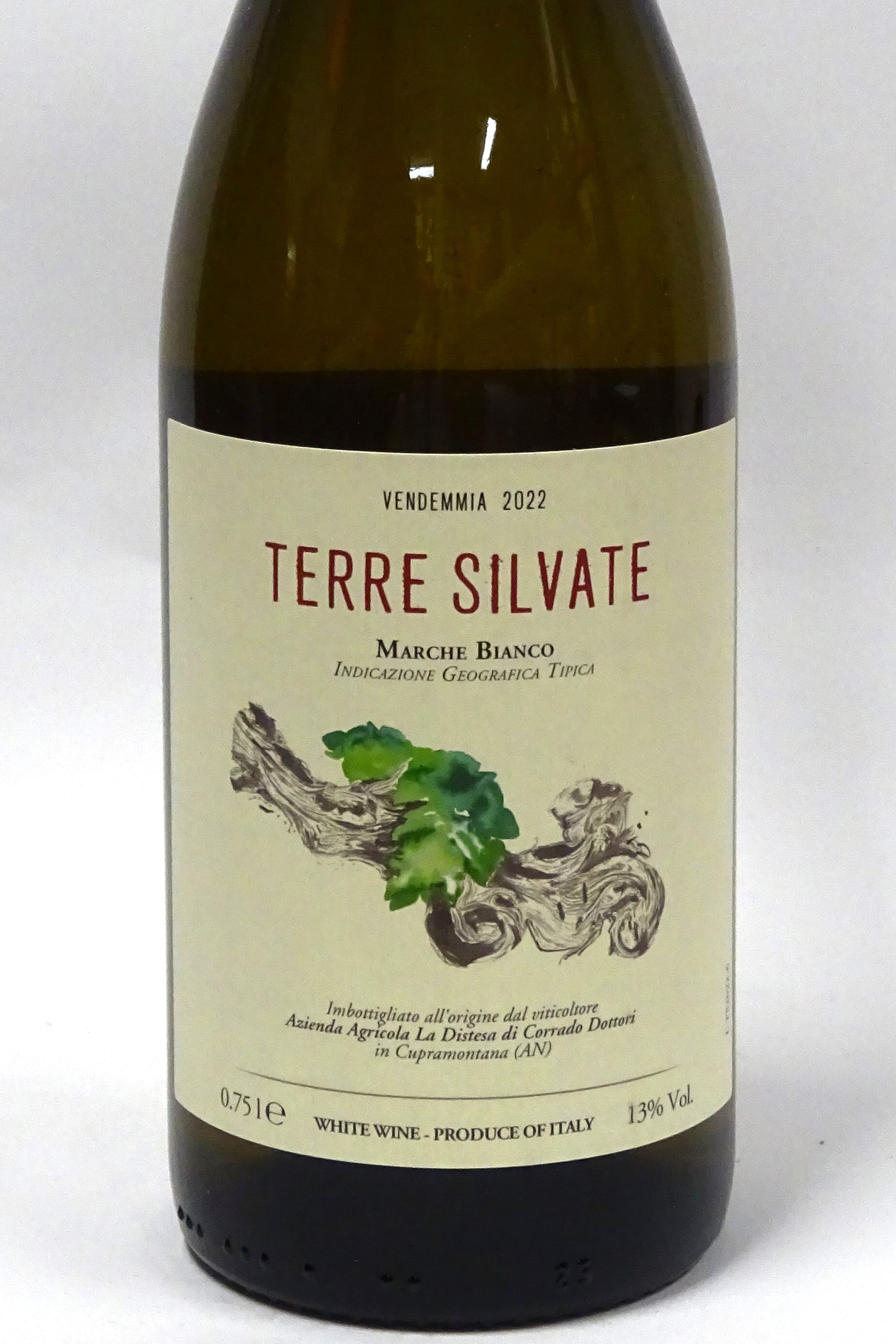 Distesa La Distesa 2022 Terre Silvate IGT Marche Bianco – Chambers Street Wines