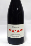 Tessier 2022 Cheverny Rouge